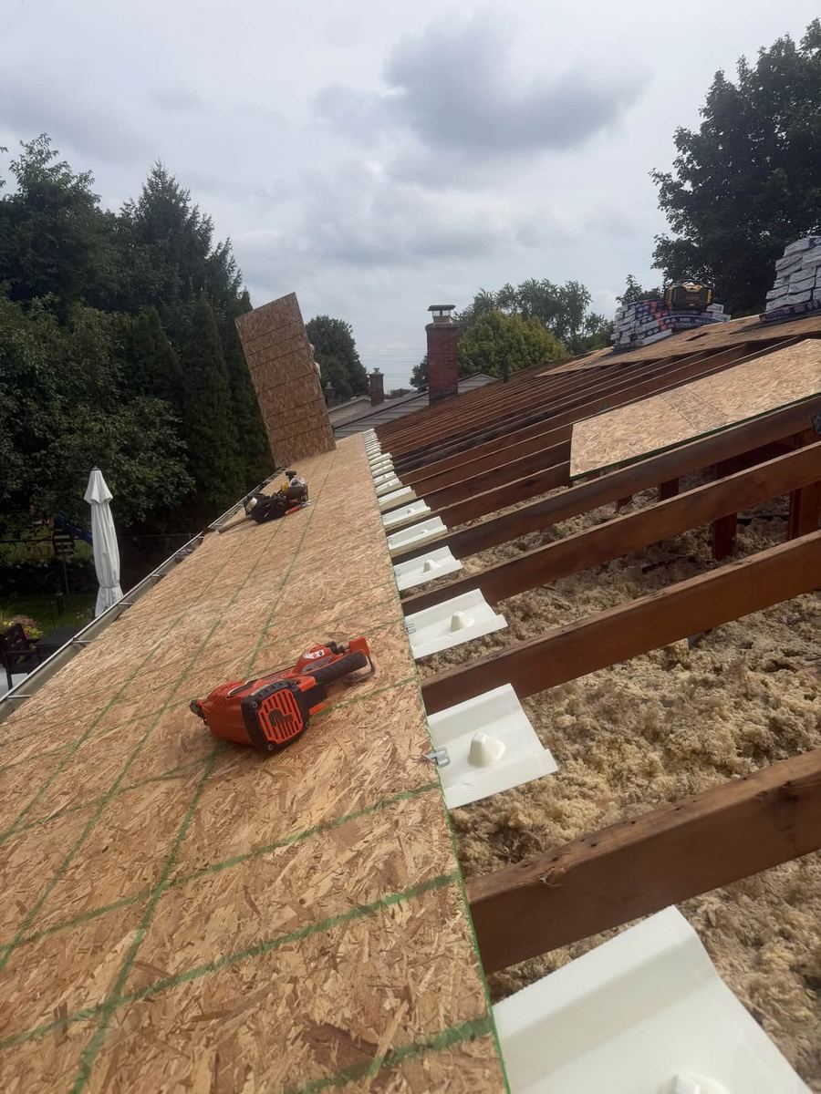 Old decking removed to expose the rafters on a mold-damaged roof